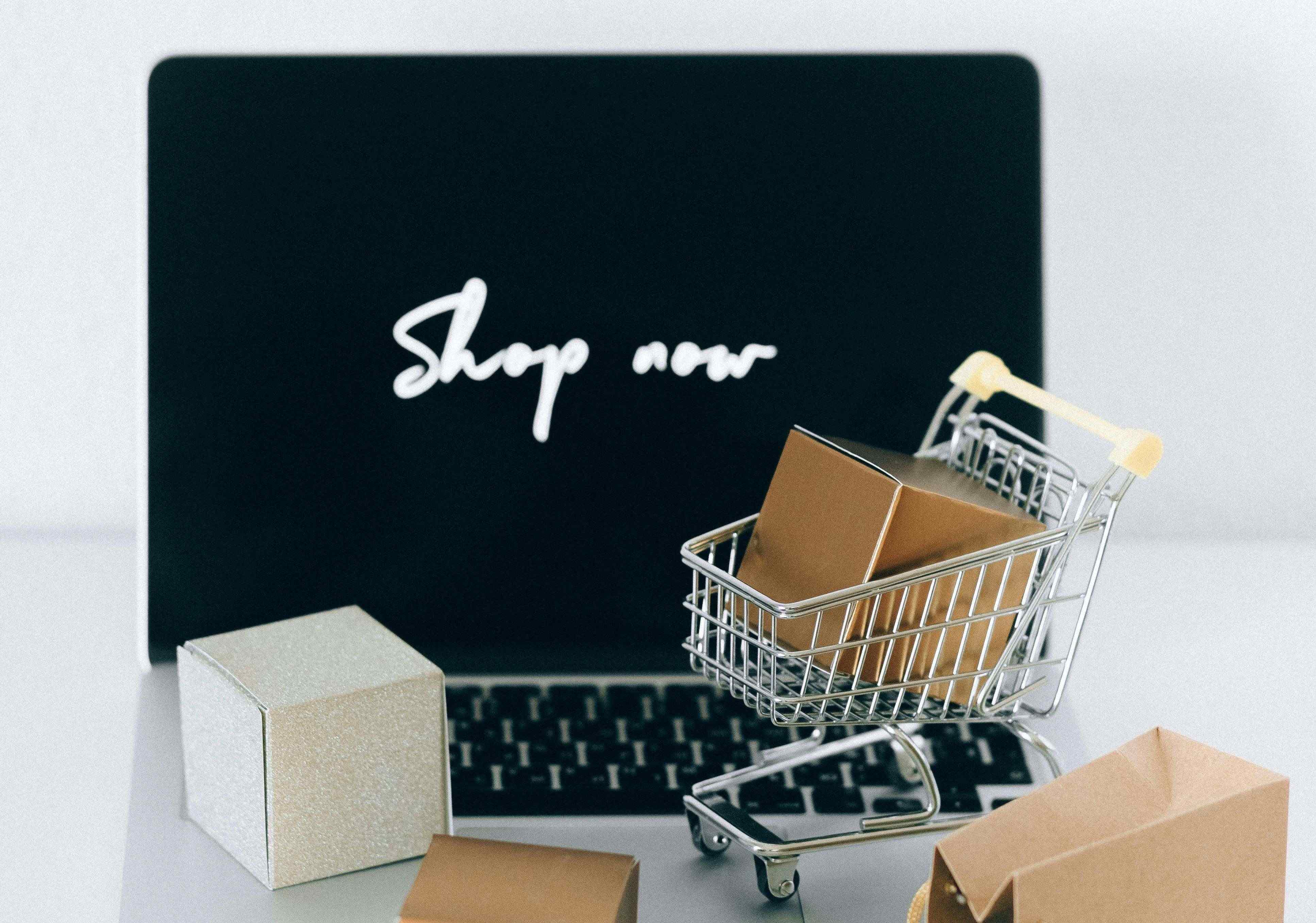 Mobile-Optimized Website Design